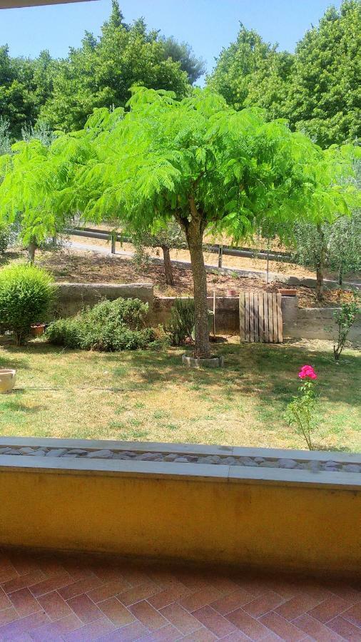 Il Girasole Apartment Castel Ritaldi Exterior photo