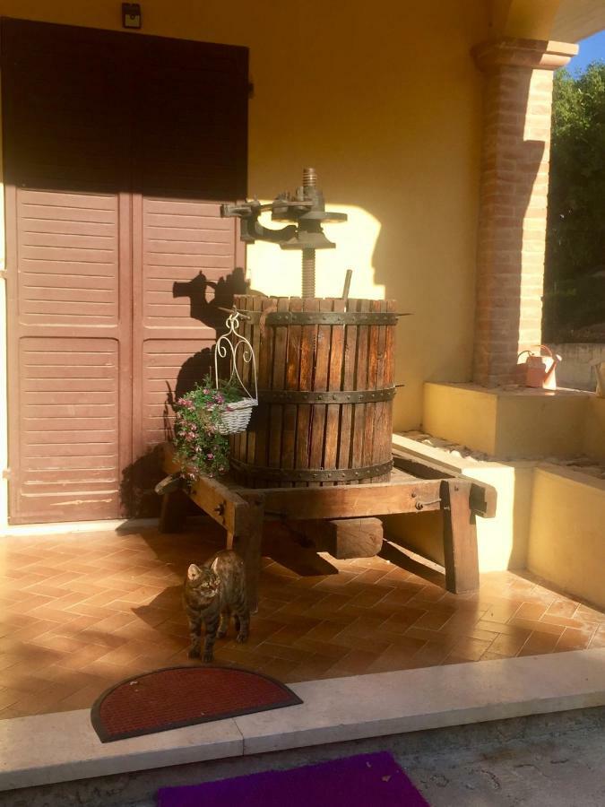 Il Girasole Apartment Castel Ritaldi Exterior photo